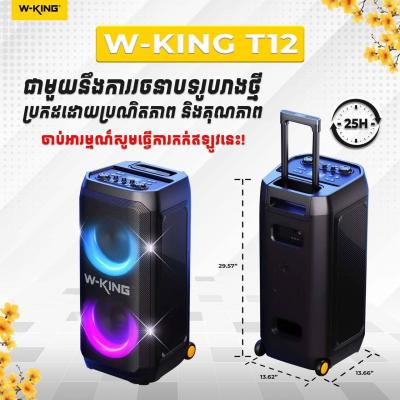 W-King T12