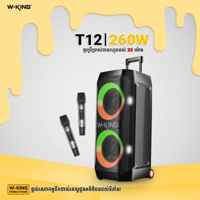 W-King T12