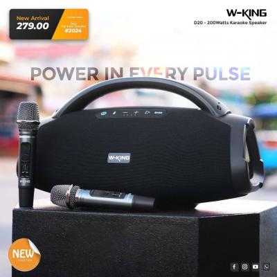 W-King D20