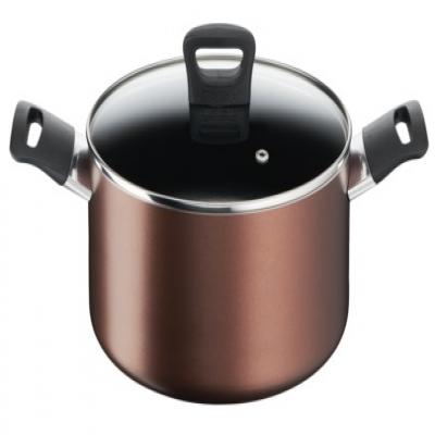 Tefal Day by Day Stewpot 22cm w/Lid G14361